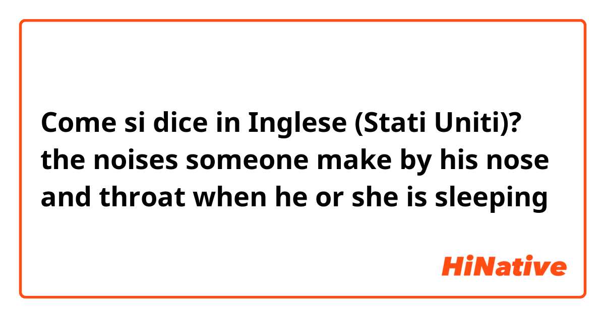 Come si dice in Inglese (Stati Uniti)? the noises someone make by his nose and throat when he or she is sleeping