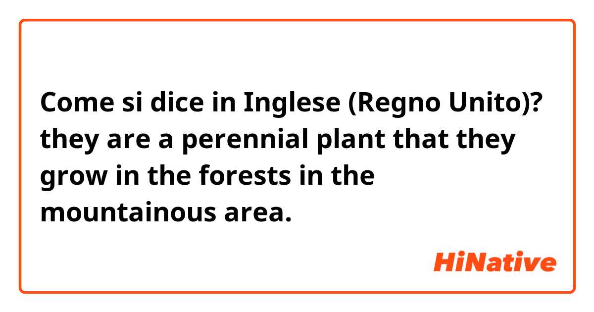 Come si dice in Inglese (Regno Unito)? they are a perennial plant that they grow in the forests in the mountainous area.