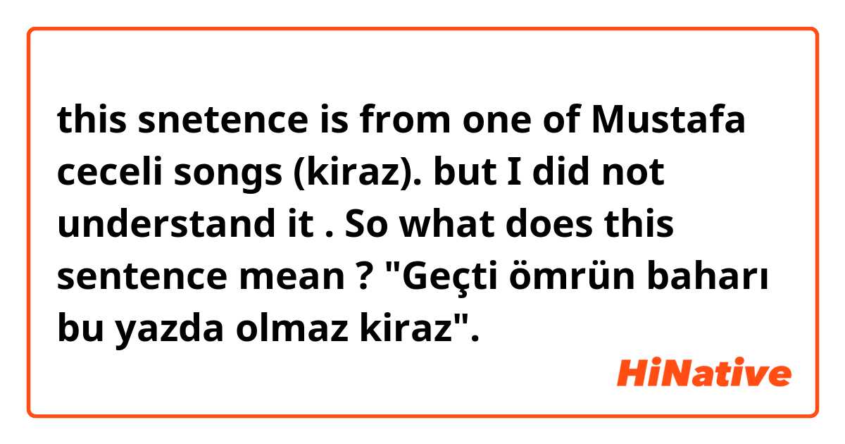 this snetence is from one of  Mustafa ceceli songs (kiraz).
but I did not understand it .
So what does this sentence mean ?
"Geçti ömrün baharı bu yazda olmaz kiraz".
