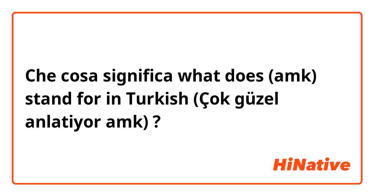 Che cosa significa what does (amk) stand for  in Turkish (Çok güzel anlatiyor amk)?