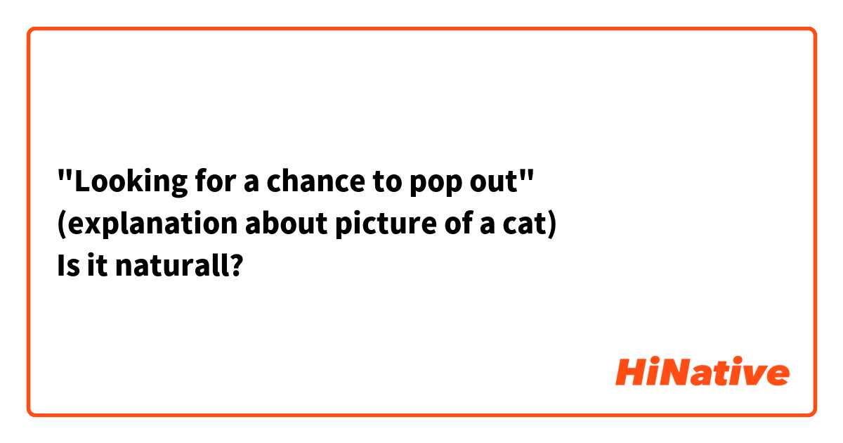 "Looking for a chance to pop out" 
(explanation about picture of a cat)
Is it naturall?