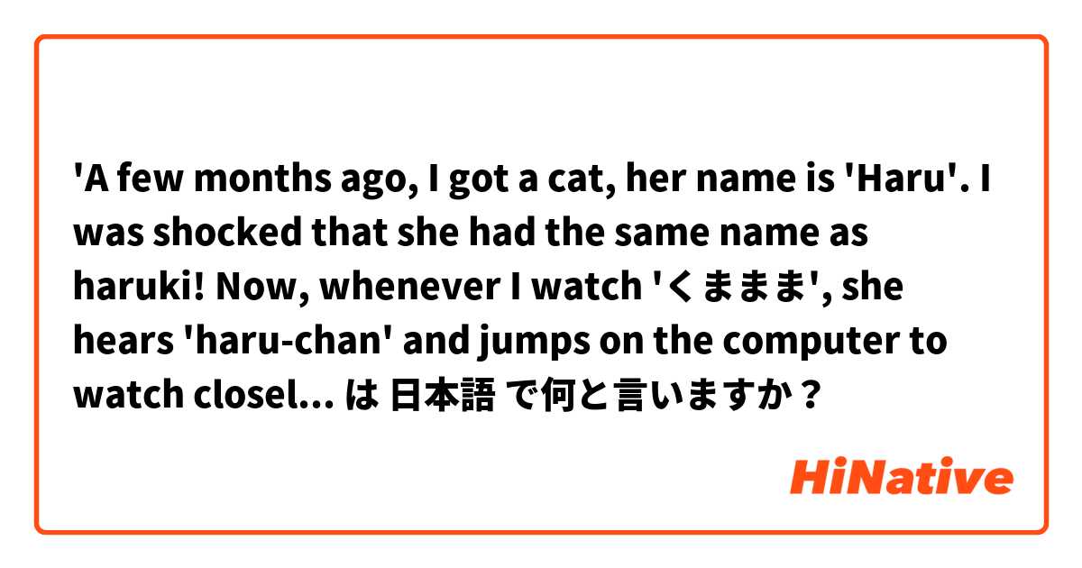 'A few months ago, I got a cat, her name is 'Haru'. I was shocked that she had the same name as haruki! Now, whenever I watch 'くままま', she hears 'haru-chan' and jumps on the computer to watch closely. I think that my cat is a fan too!' は 日本語 で何と言いますか？