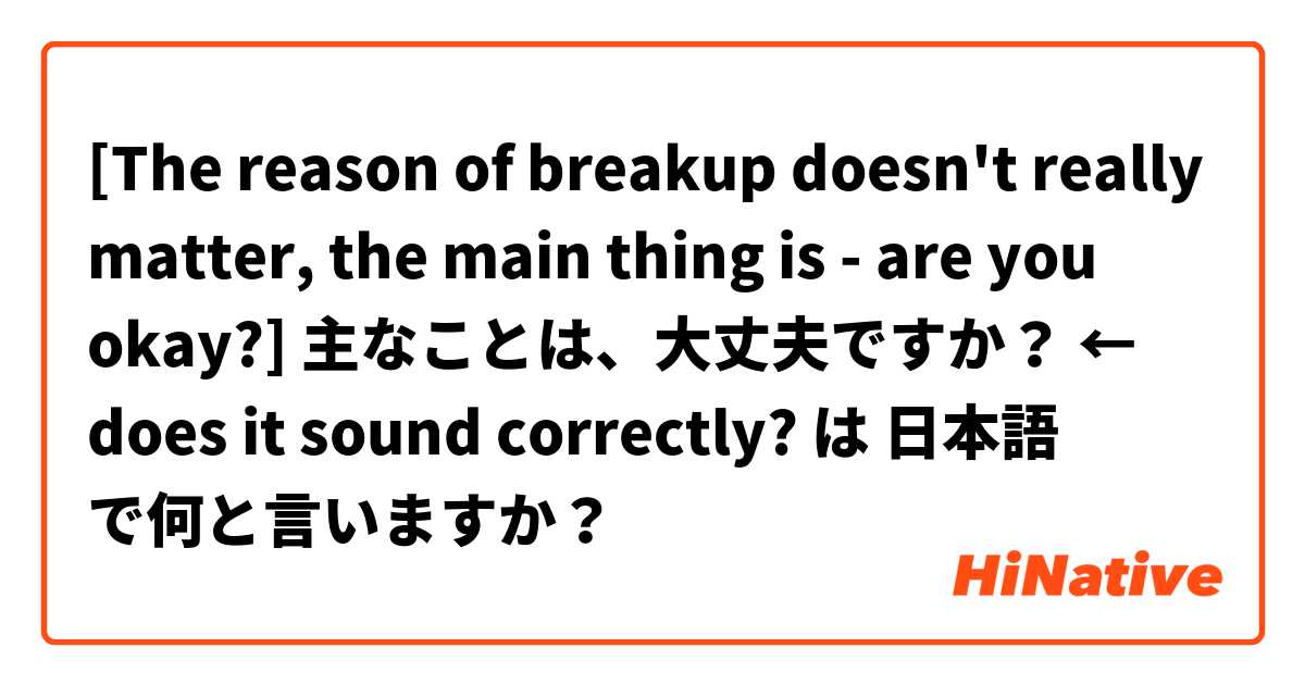 [The reason of breakup doesn't really matter, the main thing is - are you okay?]
主なことは、大丈夫ですか？ ← does it sound correctly? は 日本語 で何と言いますか？
