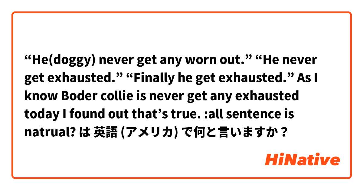 “He(doggy) never get any worn out.”
“He never get exhausted.”
“Finally he get exhausted.”
As I know Boder collie is never get any exhausted today I found out that’s true.
:all sentence is natrual? は 英語 (アメリカ) で何と言いますか？