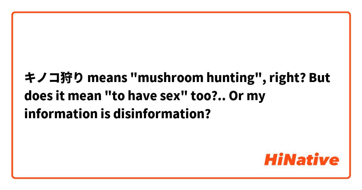 キノコ狩り means "mushroom hunting", right? But does it mean "to have sex" too?.. Or my information is disinformation?