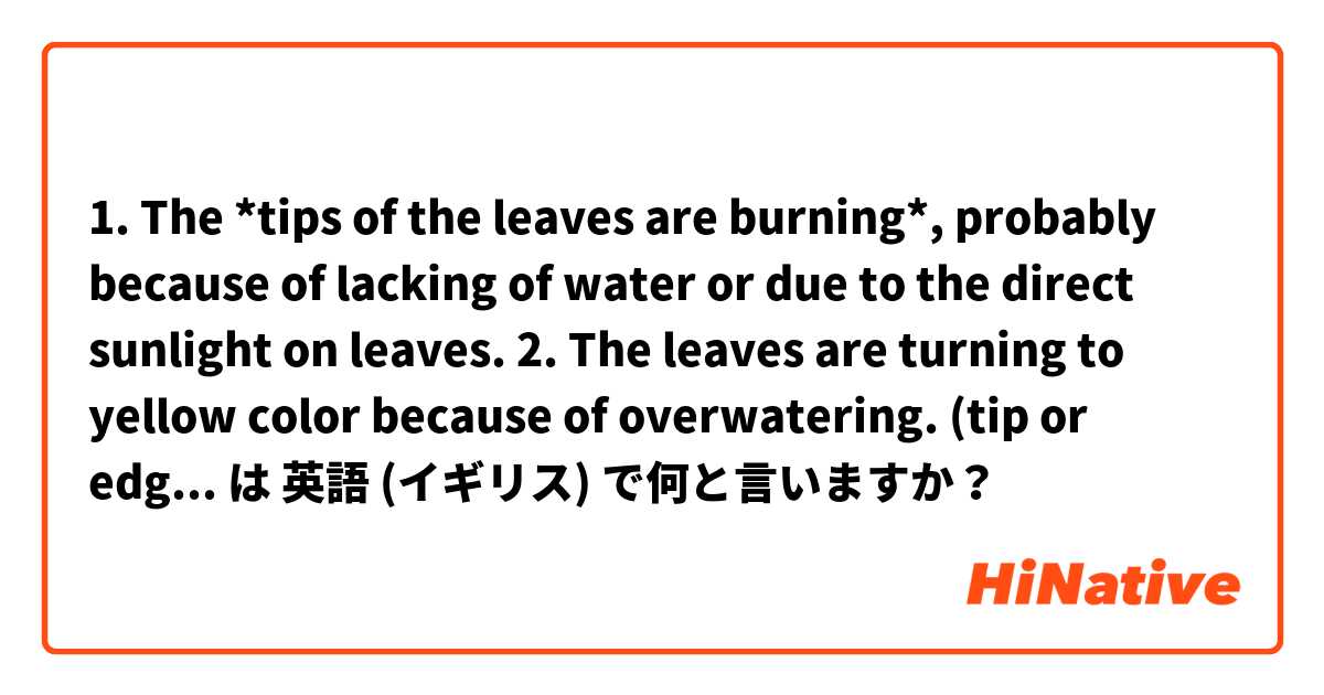 1. The *tips of the leaves are burning*, probably because of lacking of water or due to the direct sunlight on leaves.
2. The leaves are turning to yellow color because of overwatering.
(tip or edge?)
Please correct my sentences. は 英語 (イギリス) で何と言いますか？
