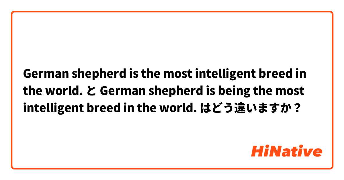 German shepherd is the most intelligent breed in the world. と German shepherd is being the most intelligent breed in the world. はどう違いますか？