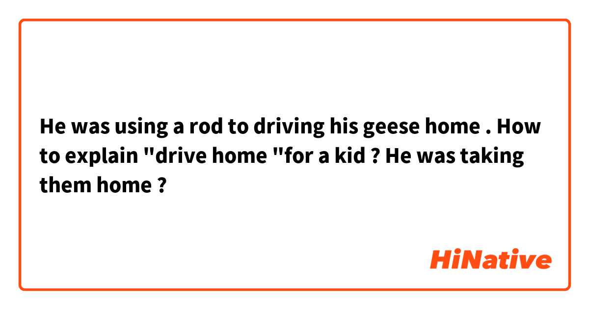 He was using a rod to driving his geese  home . How to explain "drive home "for a kid ? He was taking them home ?