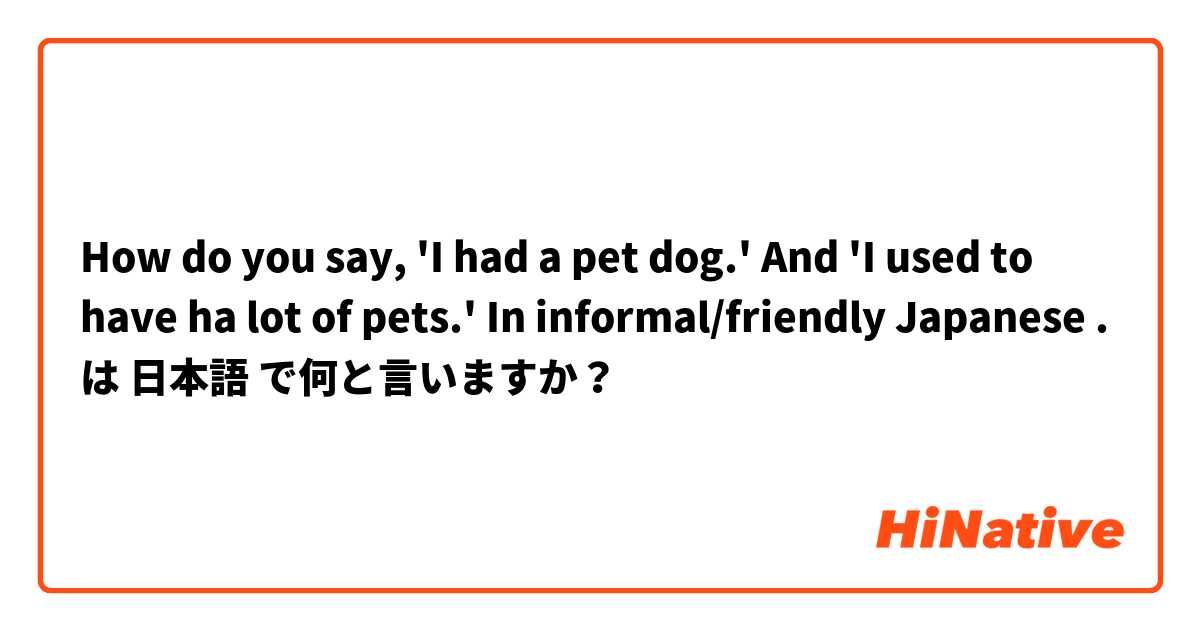 How do you say,
 'I had a pet dog.'
And
 'I used to have ha lot of pets.'
In informal/friendly Japanese . は 日本語 で何と言いますか？