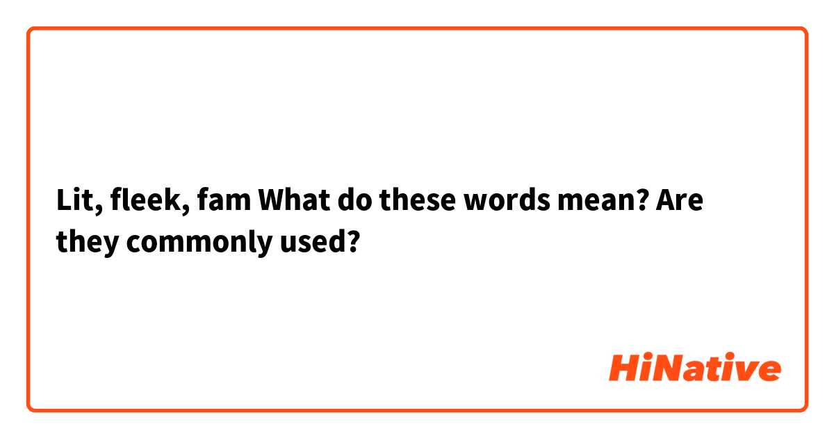 Lit, fleek, fam 
What do these words mean? Are they commonly used?