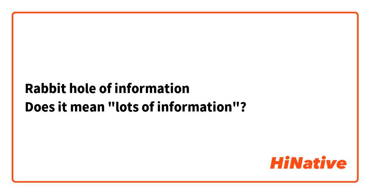 Rabbit hole of information
Does it mean "lots of information"?