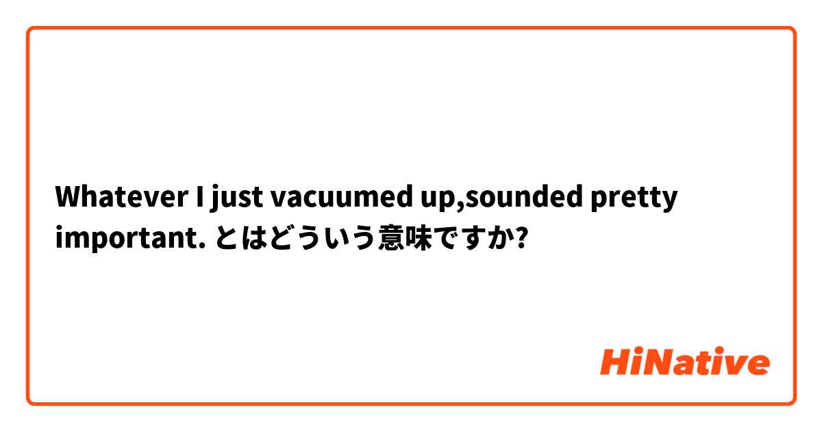 Whatever I just vacuumed up,sounded pretty important. とはどういう意味ですか?