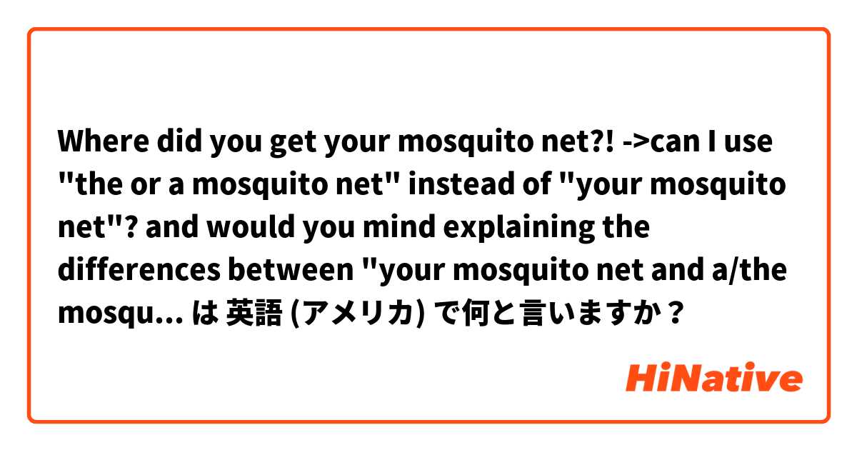 
 Where did you get your mosquito net?! 

->can I use "the or a mosquito net" instead of "your mosquito net"?  and would you mind explaining the differences between "your mosquito net and a/the mosquito net" in detail?  は 英語 (アメリカ) で何と言いますか？