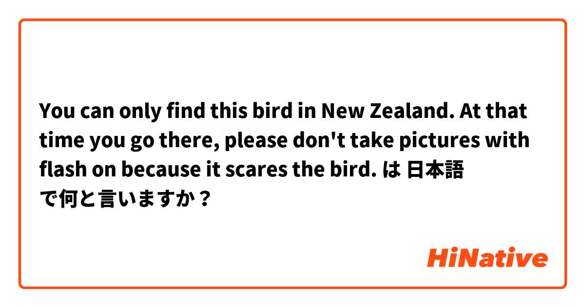 You can only find this bird in New Zealand. At that time you go there, please don't take pictures with flash on because it scares the bird. 
 は 日本語 で何と言いますか？