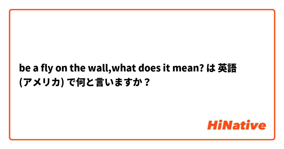 be a fly on the wall,what does it mean? は 英語 (アメリカ) で何と言いますか？