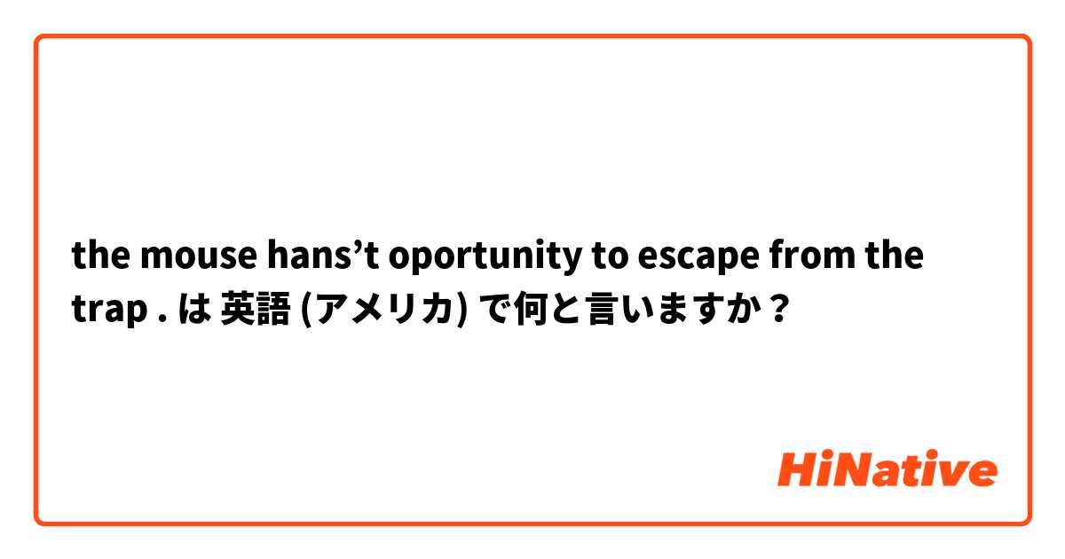 the mouse hans’t oportunity to escape from the trap . は 英語 (アメリカ) で何と言いますか？