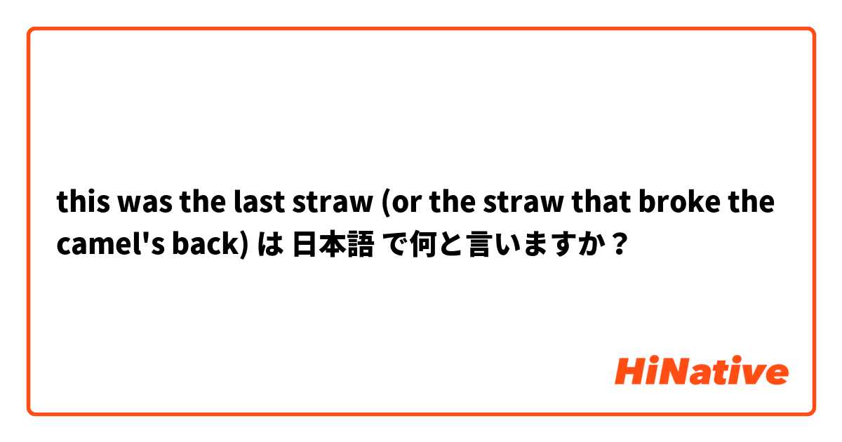 this was the last straw (or the straw that broke the camel's back) は 日本語 で何と言いますか？
