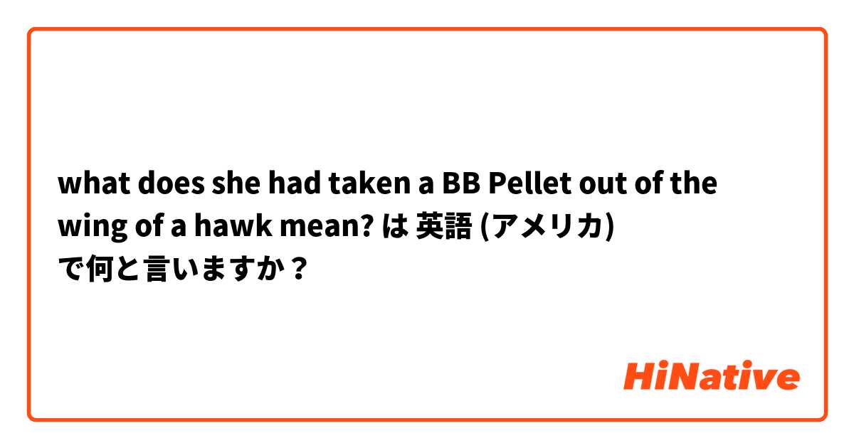 what does she had taken a BB Pellet out of the wing of a hawk mean? は 英語 (アメリカ) で何と言いますか？