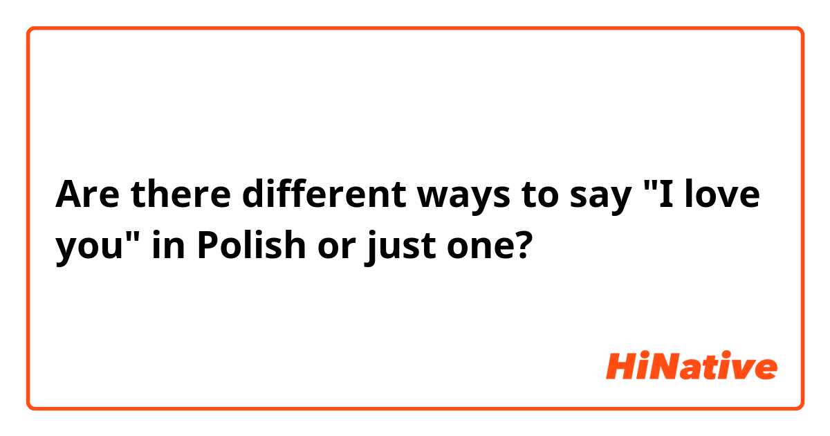 Are there different ways to say "I love you" in Polish or just one? 