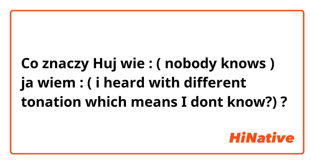 Co znaczy Huj wie : ( nobody knows )
ja wiem : ( i heard with different tonation which means I dont know?) ?