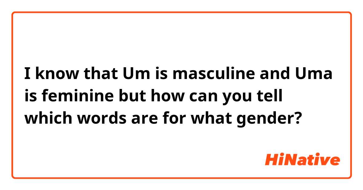 I know that Um is masculine and Uma is feminine but how can you tell which words are for what gender?