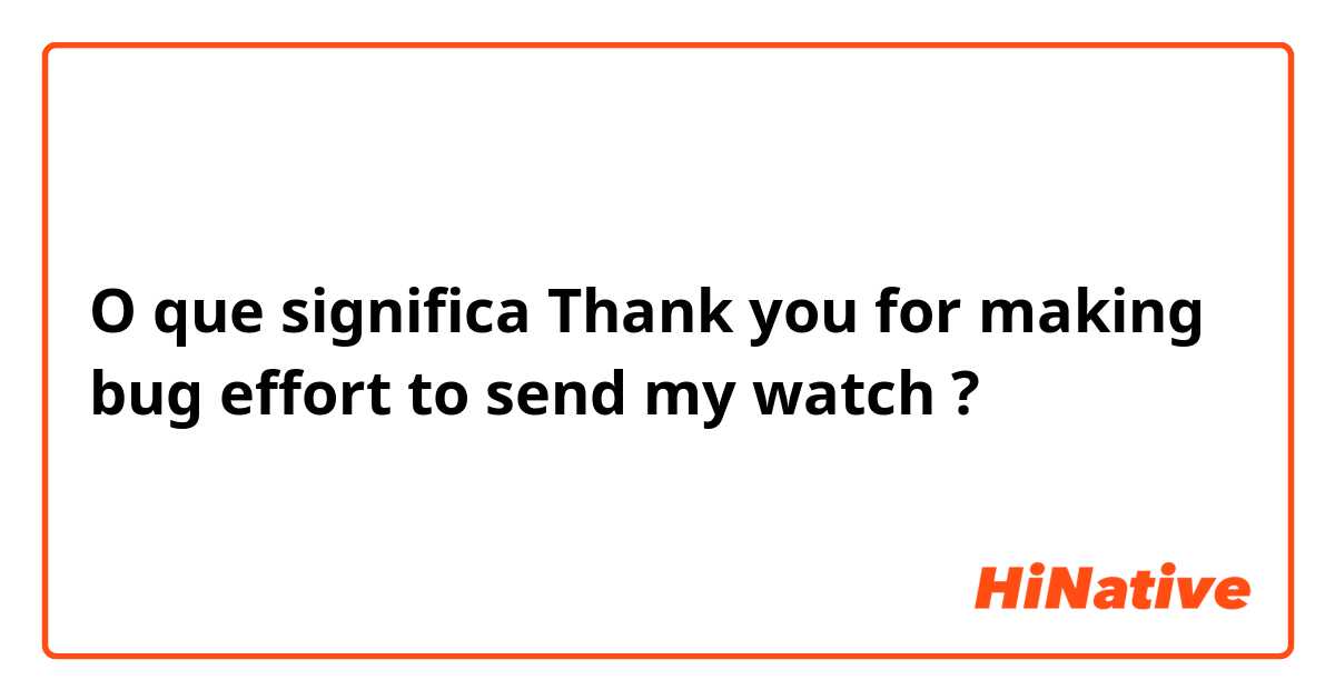 O que significa Thank you for making bug effort to send my watch ?