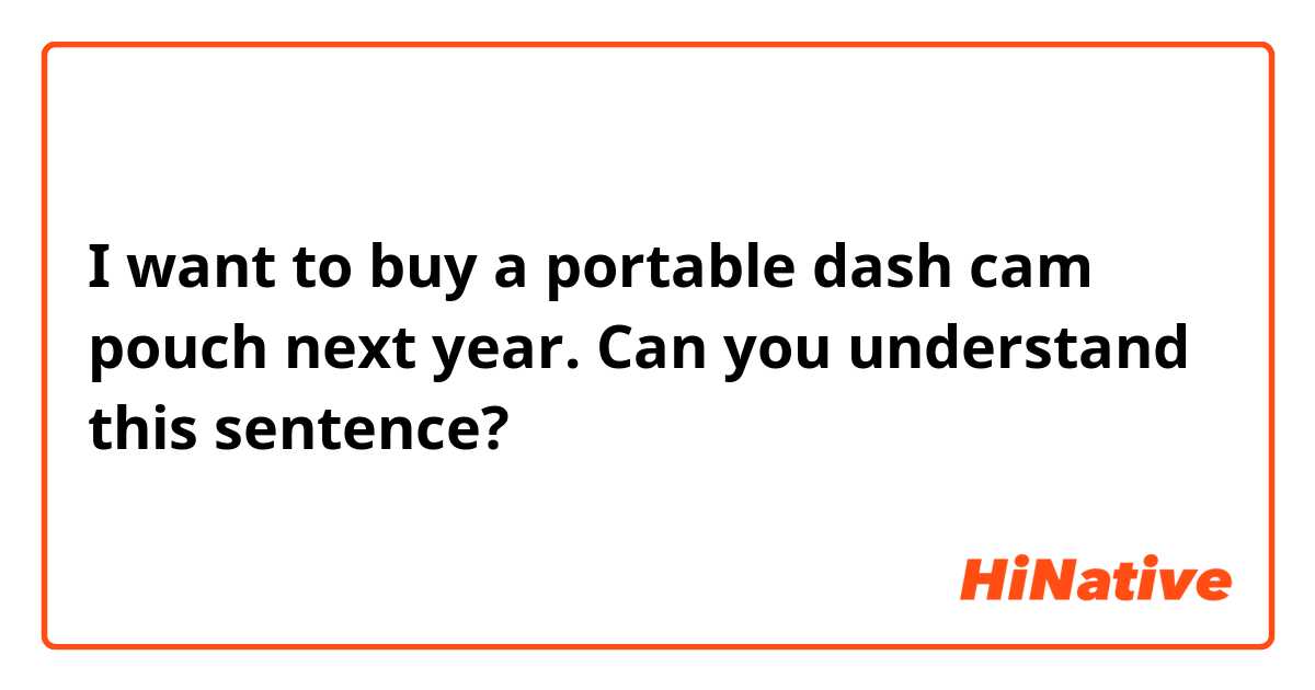 I want to buy a portable dash cam pouch next year.

Can you understand this sentence?