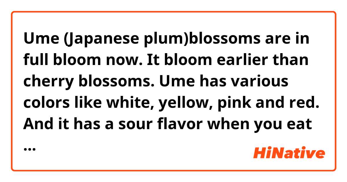 Ume (Japanese plum)blossoms are in full bloom now. It bloom earlier than cherry blossoms. Ume has various colors like white, yellow, pink and red. And it has a sour flavor when you eat it. Ume is used to make drinks, preserved jams, preserved jellies, and sauces.

Is this sentence correct?