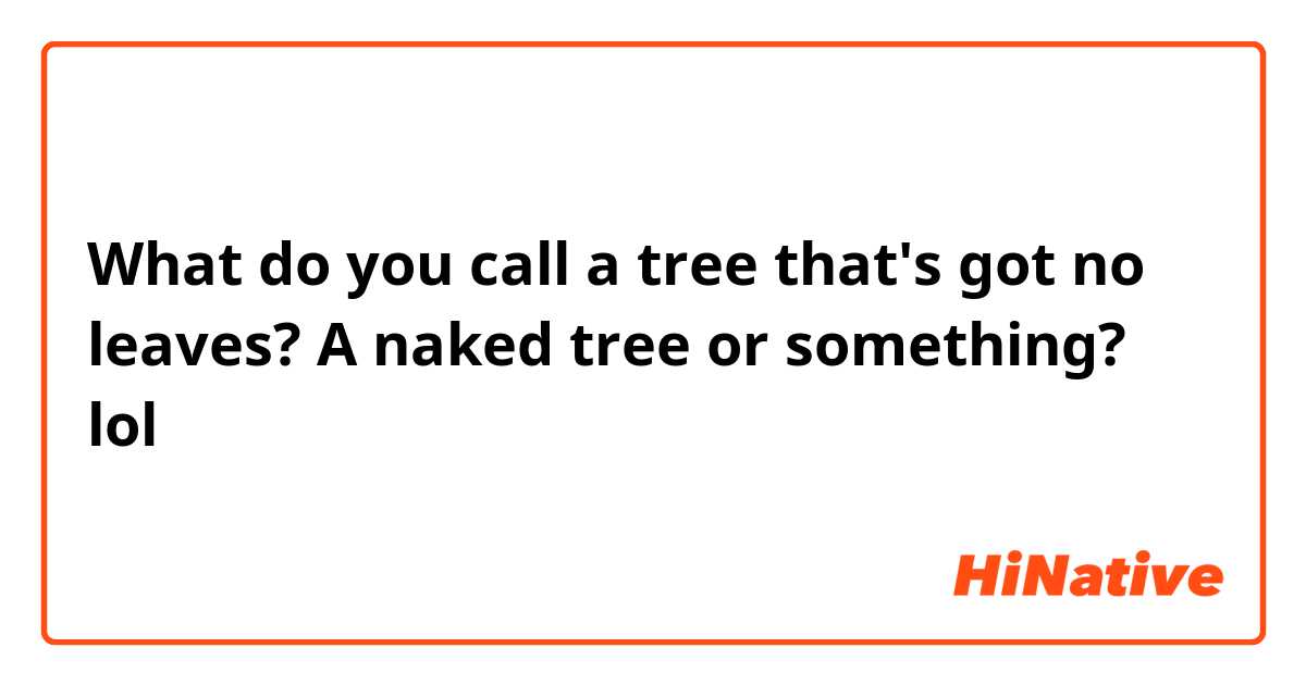 What do you call a tree that's got no leaves? A naked tree or something? lol