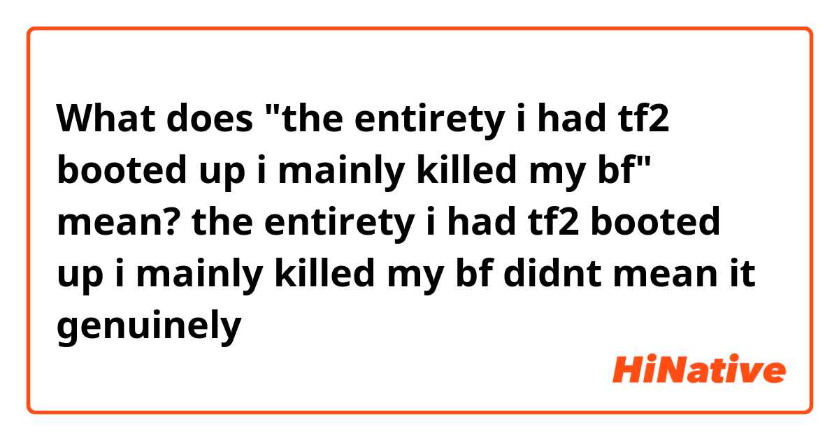 What does "the entirety i had tf2 booted up i mainly killed my bf" mean?

the entirety i had tf2 booted up i mainly killed my bf
didnt mean it genuinely