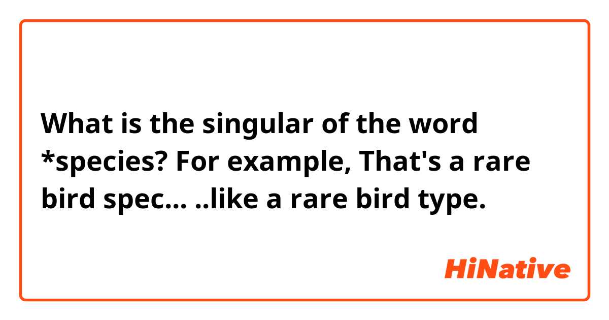 What is the singular of the word *species? 
For example, That's a rare bird spec... ..like a rare bird type.