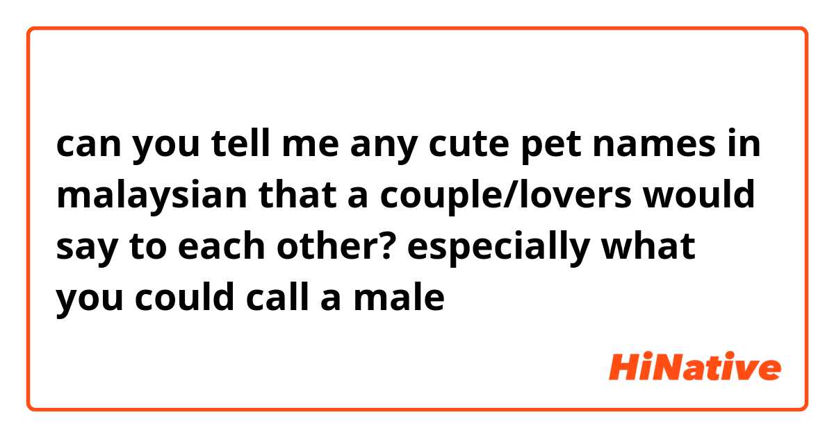 can you tell me any cute pet names in malaysian that a couple/lovers would say to each other? especially what you could call a male