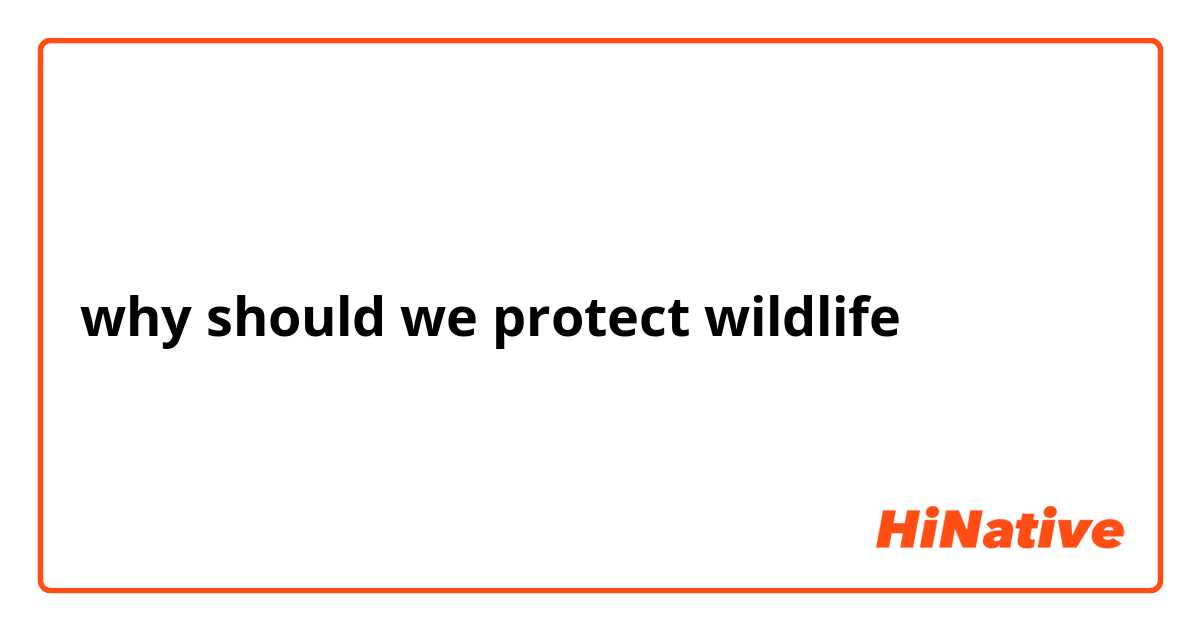 why should we protect wildlife？