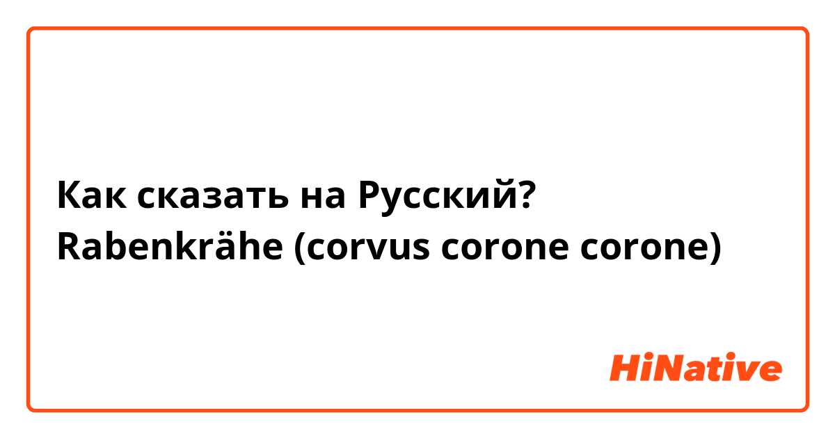 Как сказать на Русский? Rabenkrähe (corvus corone corone)