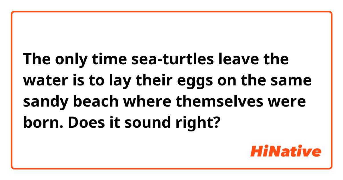 The only time sea-turtles leave the water is to lay their eggs on the same sandy beach where themselves were born.
Does it sound right?
