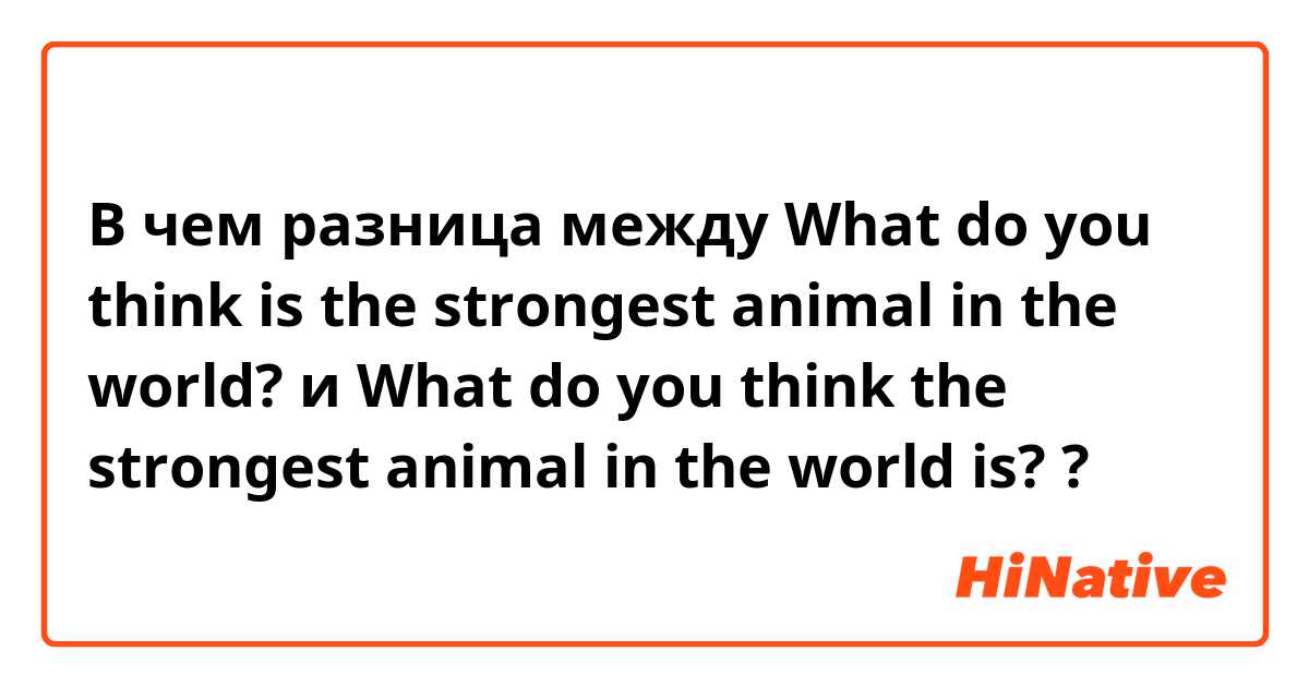 В чем разница между What do you think is the strongest animal in the world? и What do you think the strongest animal in the world is? ?