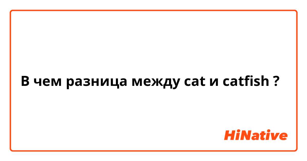 В чем разница между cat  и catfish  ?