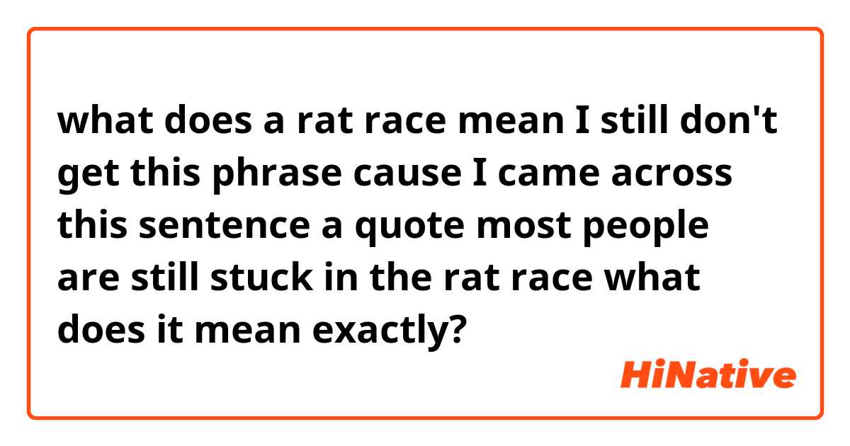 what does a rat race mean I still don't get this phrase cause I came across this sentence a quote most people are still stuck in the rat race what does it mean exactly?