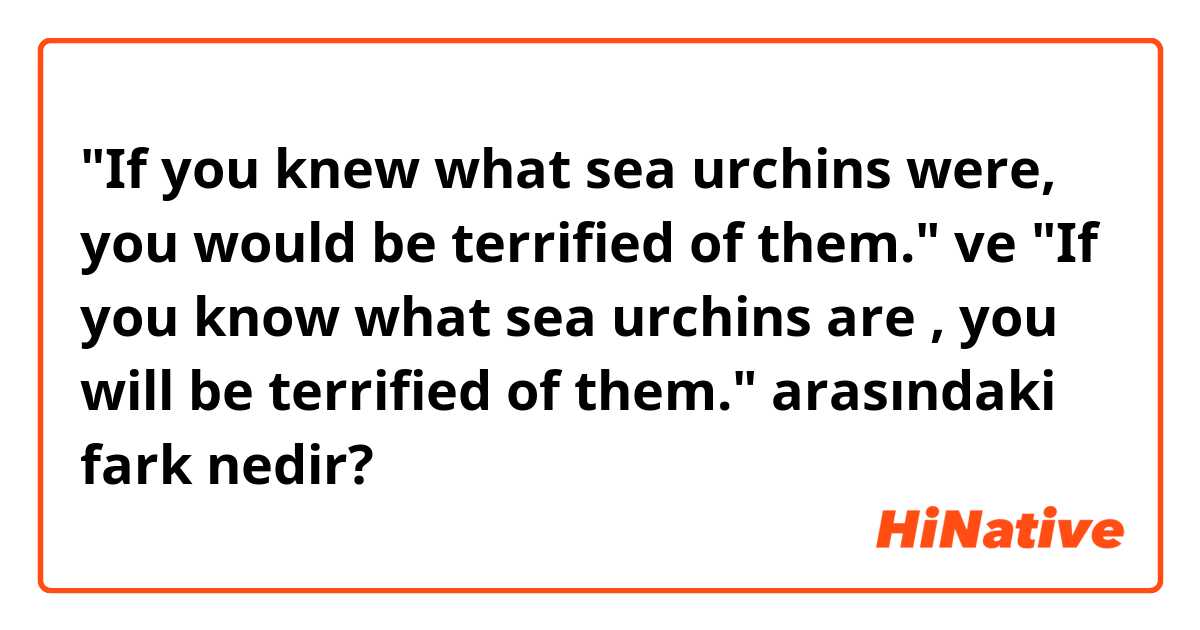 "If you knew what sea urchins were, you would be terrified of them." ve "If you know what sea urchins are , you will be terrified of them." arasındaki fark nedir?