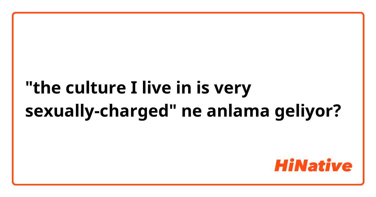 "the culture I live in is very sexually-charged" ne anlama geliyor?