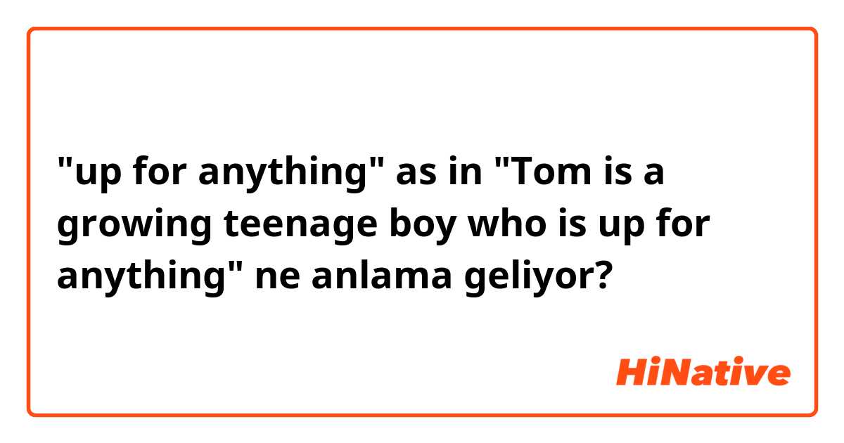 "up for anything" as in "Tom is a growing teenage boy who is up for anything" ne anlama geliyor?