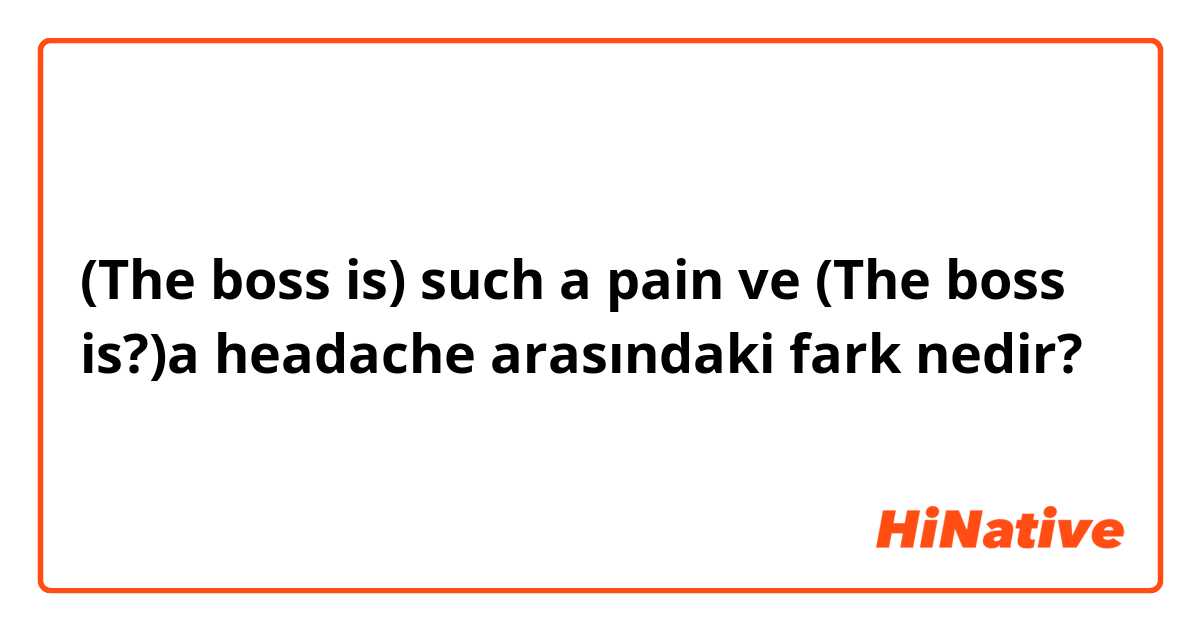 (The boss is) such a pain ve (The boss is?)a headache arasındaki fark nedir?