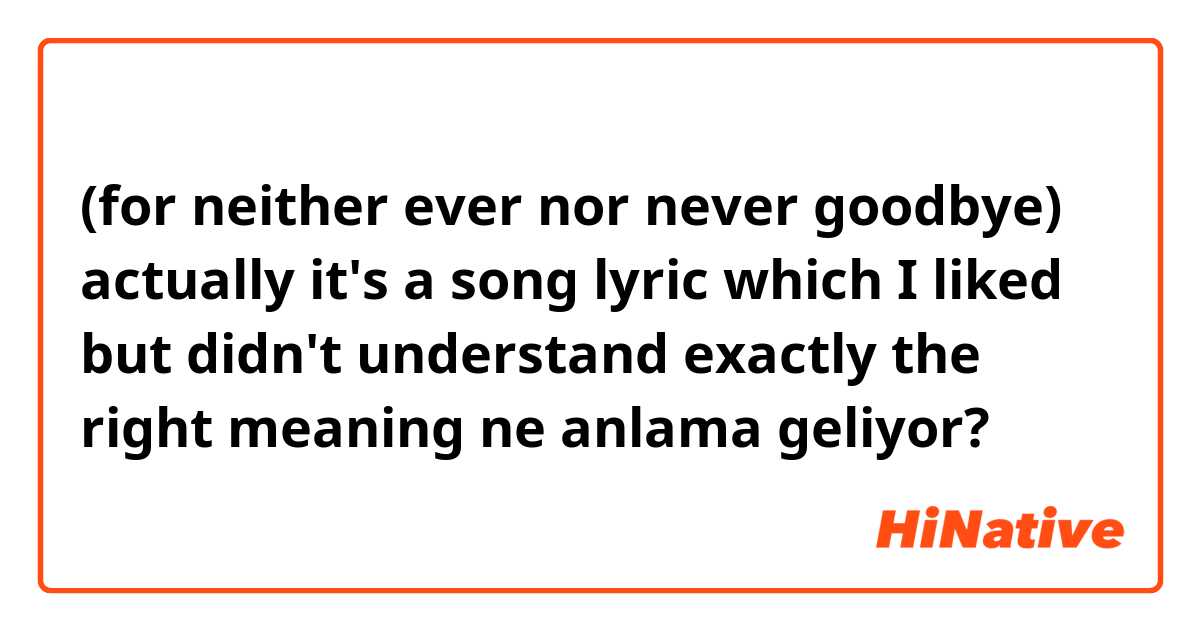 (for neither ever nor never goodbye)
actually it's a song lyric which I liked but didn't understand exactly the right meaning ne anlama geliyor?