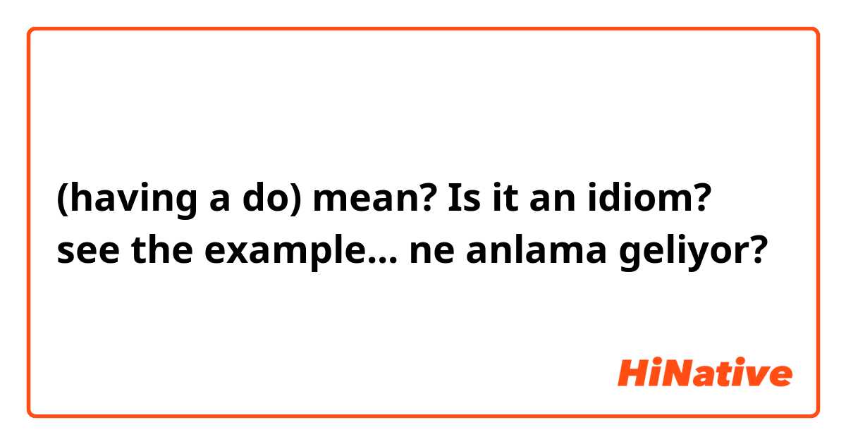   (having a do) mean? Is it an idiom? see the example...
 ne anlama geliyor?
