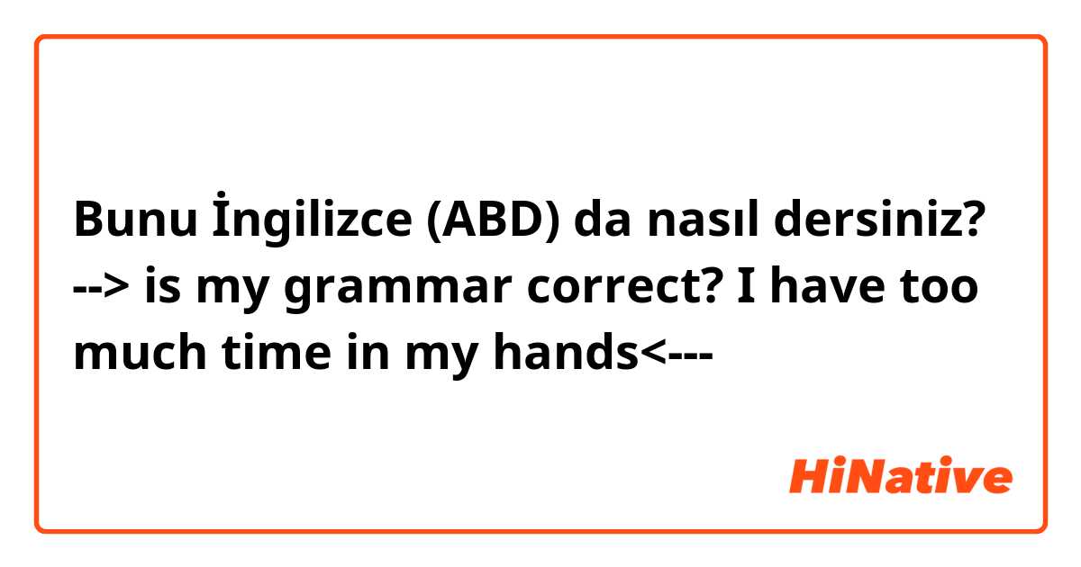 Bunu İngilizce (ABD) da nasıl dersiniz? --> is my grammar correct? I have too much time in my hands<--- 