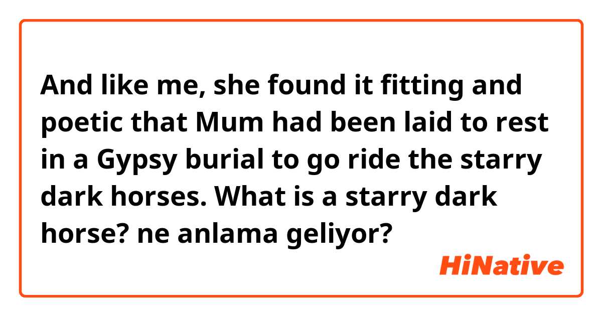 And like me, she found it fitting and poetic that Mum had been laid to rest in a Gypsy burial to go ride the starry dark horses.

What is a starry dark horse? ne anlama geliyor?