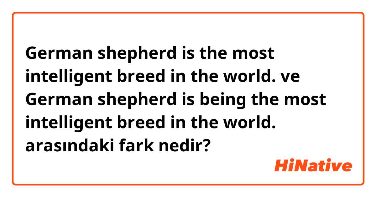 German shepherd is the most intelligent breed in the world. ve German shepherd is being the most intelligent breed in the world. arasındaki fark nedir?