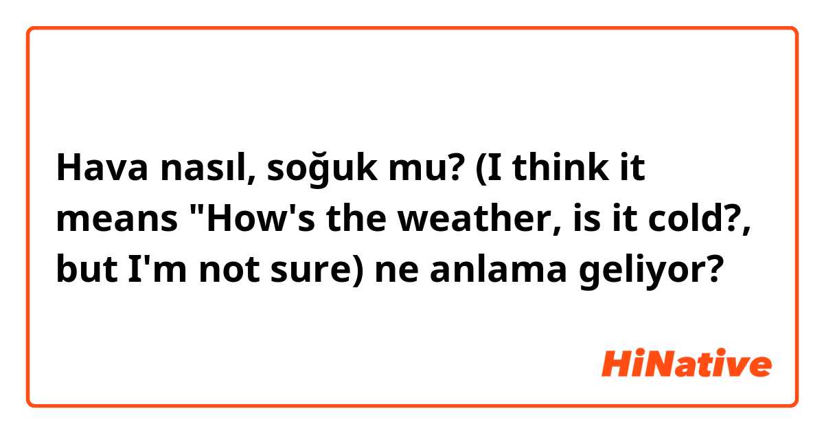 Hava nasıl, soğuk mu? (I think it means "How's the weather, is it cold?, but I'm not sure)  ne anlama geliyor?