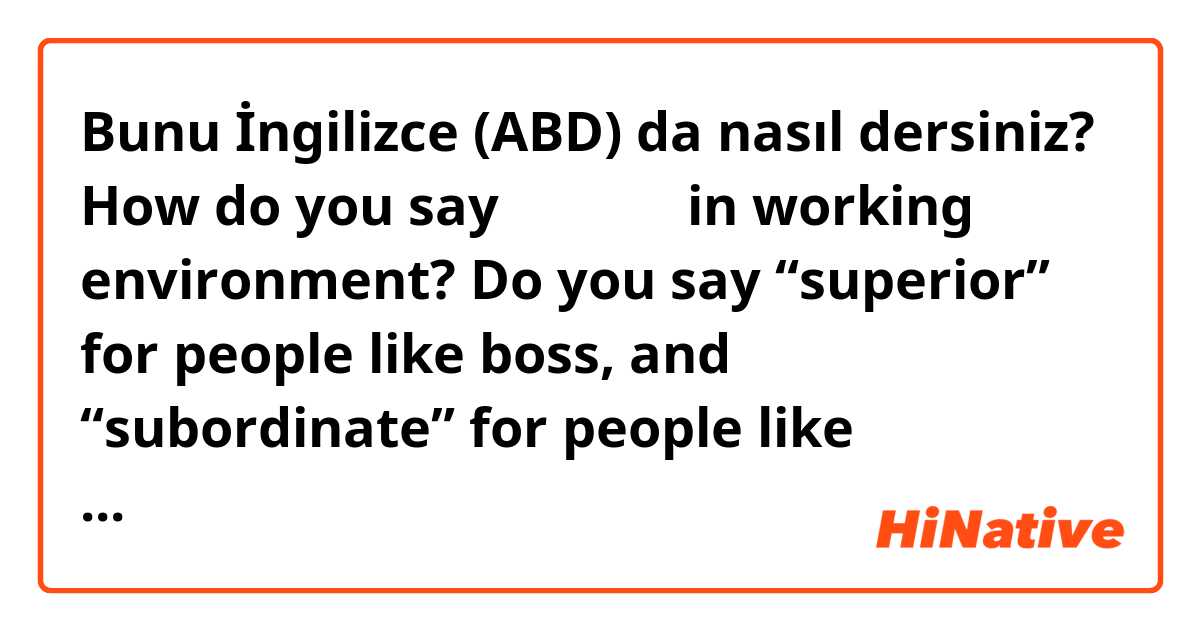 Bunu İngilizce (ABD) da nasıl dersiniz? How do you say 先輩、後輩 in working environment? Do you say “superior” for people like boss, and “subordinate” for people like assistant?