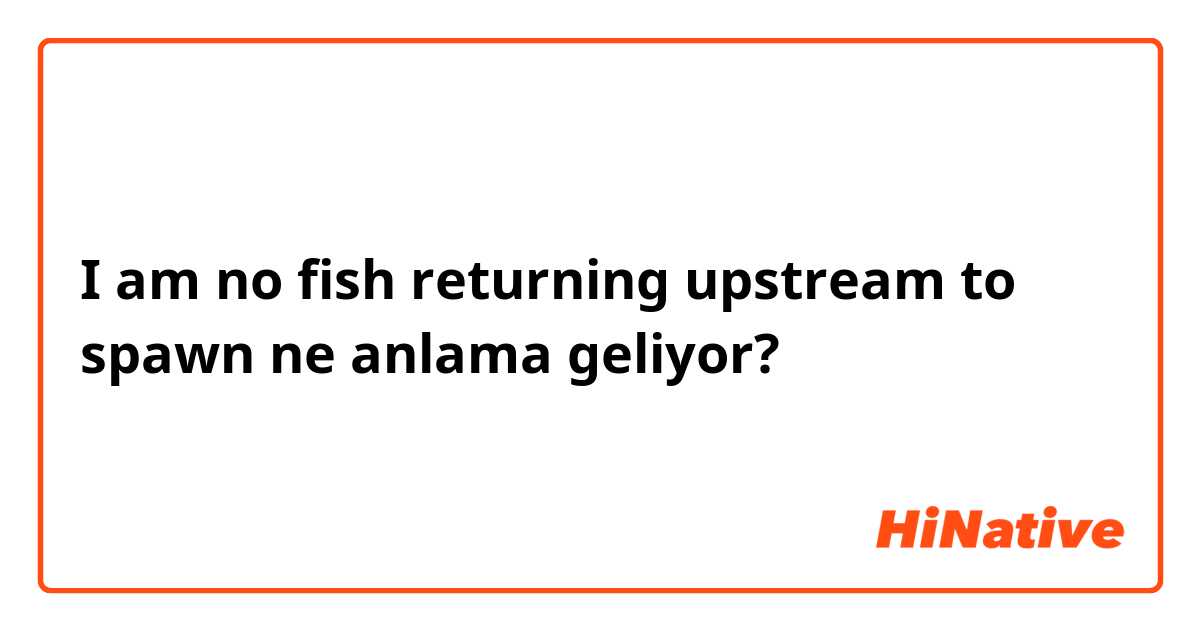 I am no fish returning upstream to spawn ne anlama geliyor?